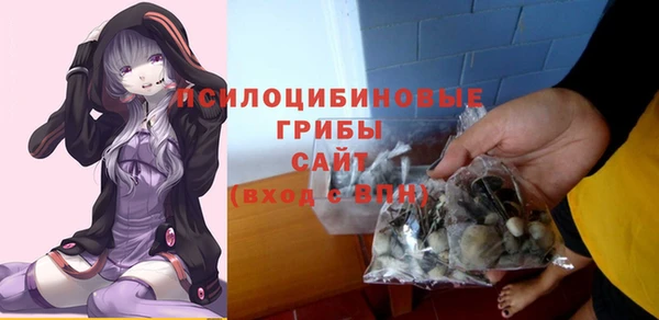 мяу мяу мука Баксан