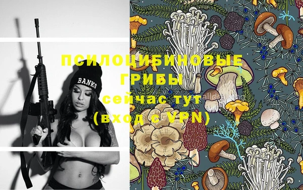 PSILOCYBIN Балахна