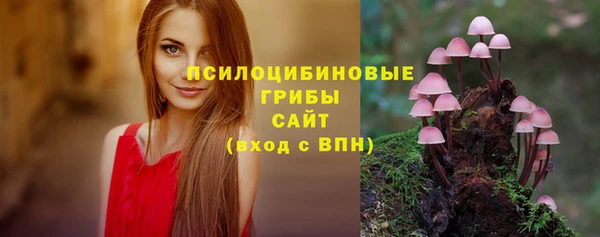 мяу мяу мука Баксан