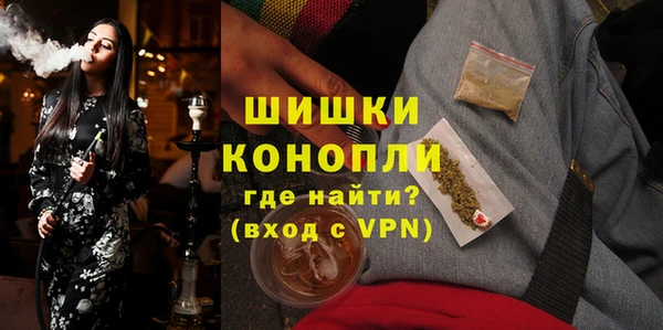 PSILOCYBIN Балахна