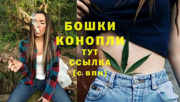 PSILOCYBIN Балахна