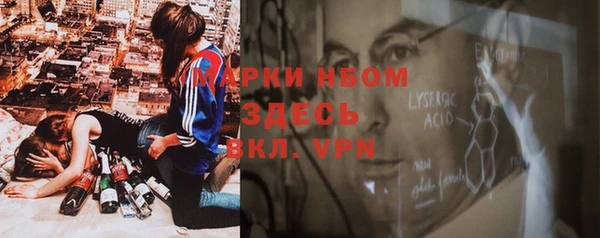 мяу мяу мука Баксан