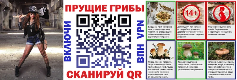 наркота  Барабинск  Псилоцибиновые грибы Cubensis 