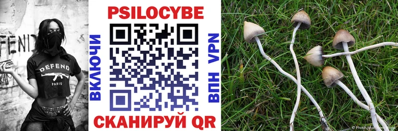 Псилоцибиновые грибы MAGIC MUSHROOMS Барабинск